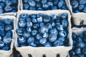 baskets_of_blueberries